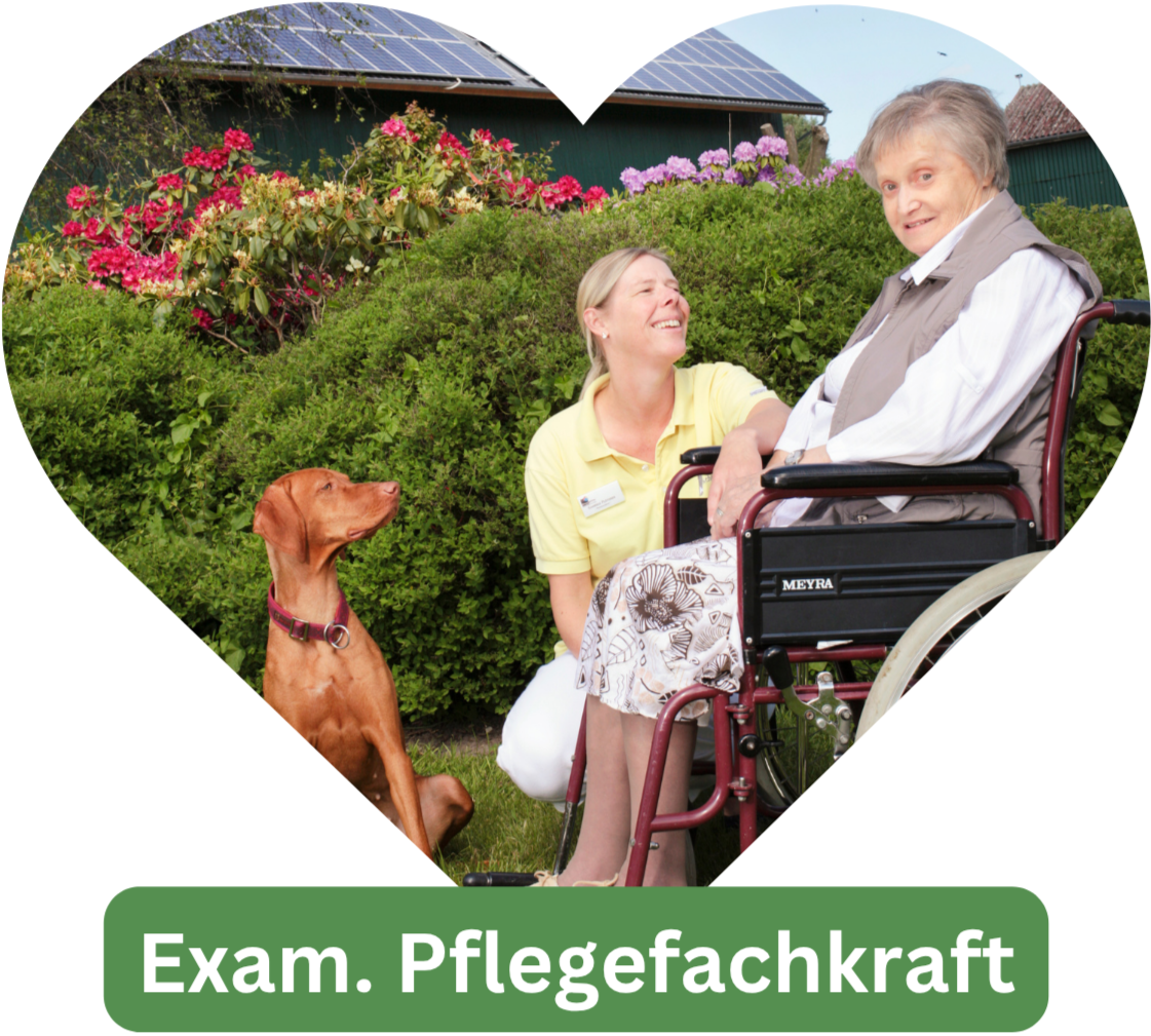Mein Bild