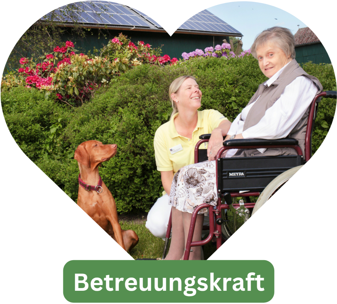 Mein Bild