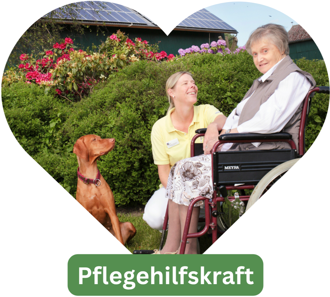 Mein Bild
