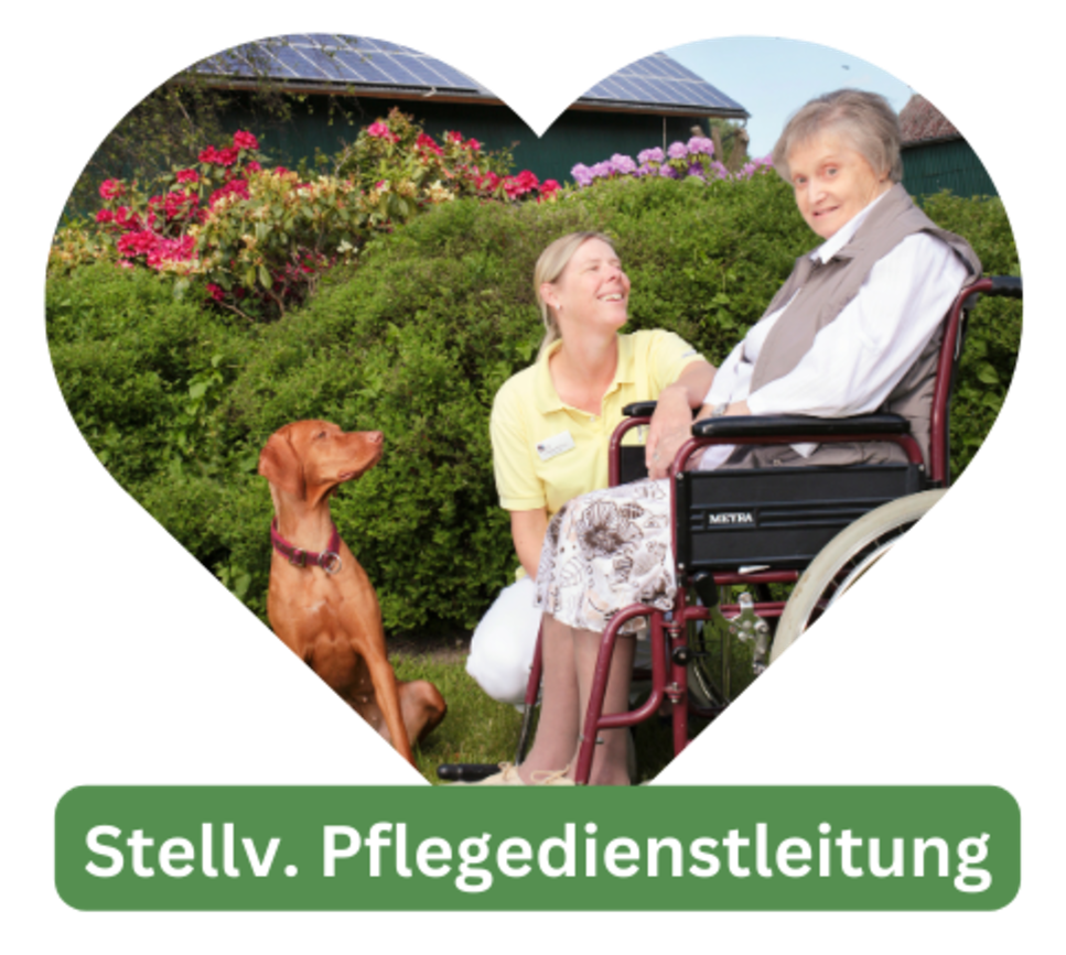 Mein Bild