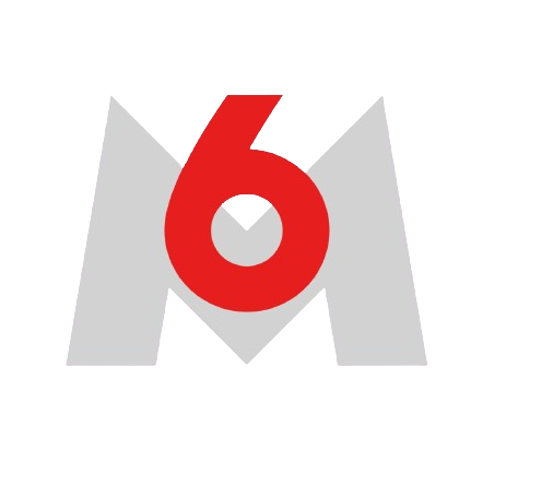 Logo 6