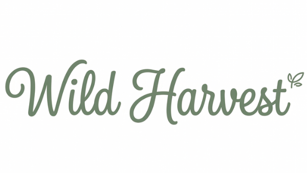 My Logo
