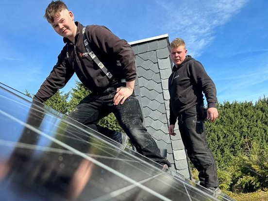 Gorilla Solar Refernzbilder