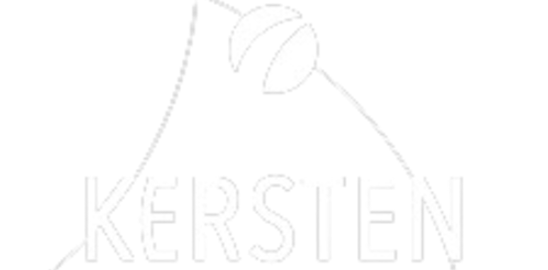 Logo 3