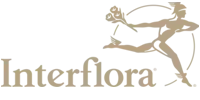 Logo 4
