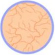id-e50eceaf