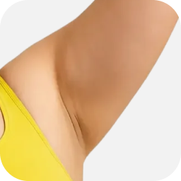 Arms