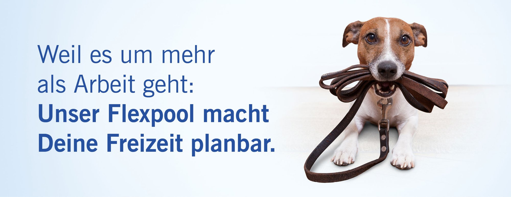 Mein Bild