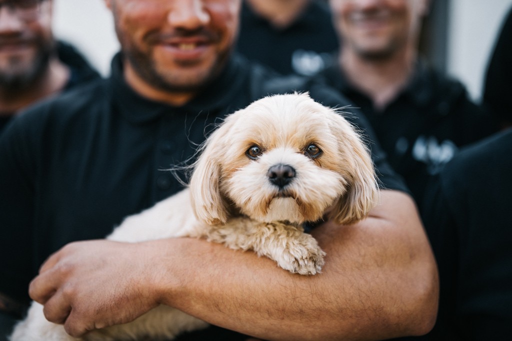 BENJI-INKASSO