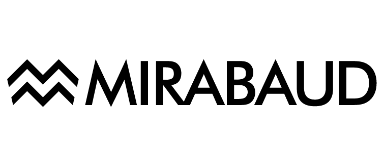Logo 4