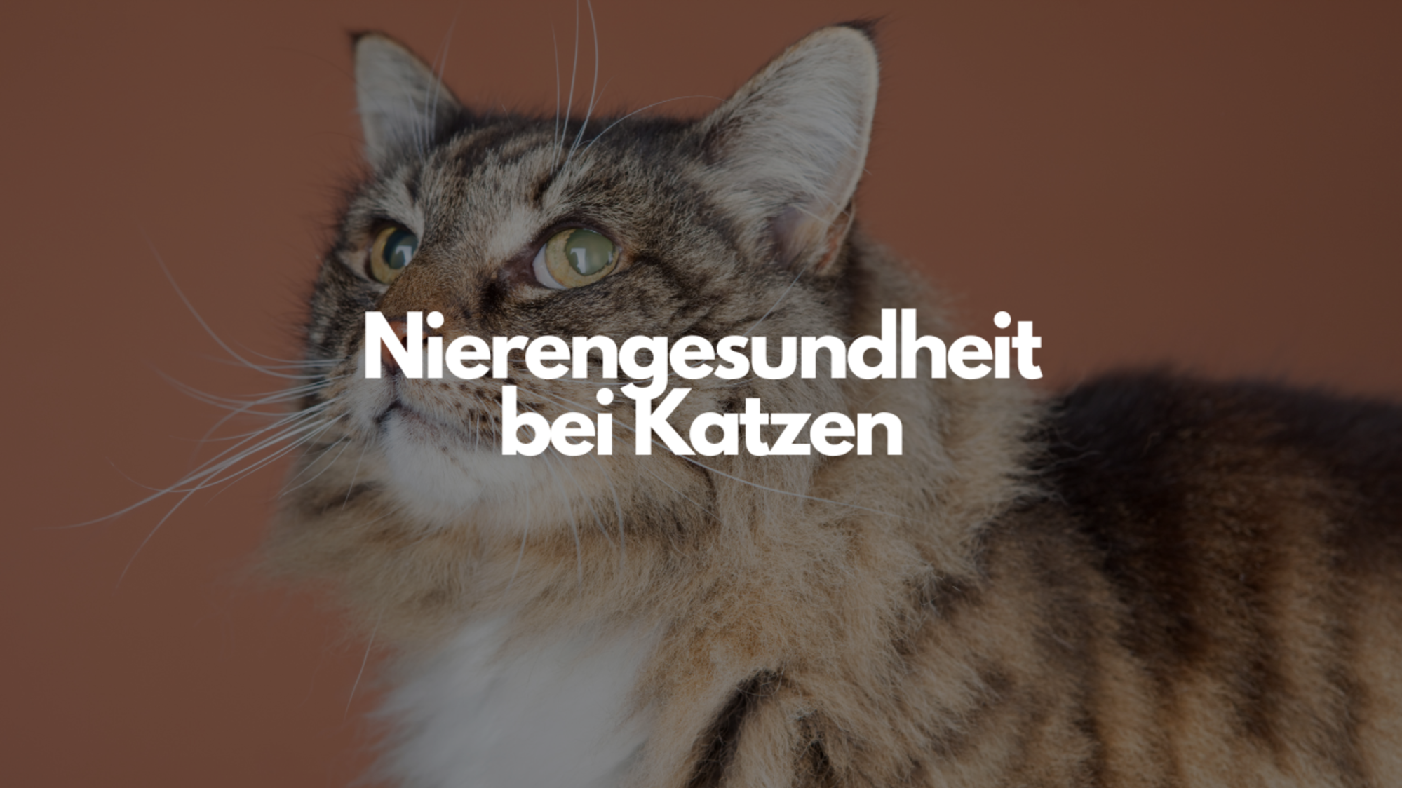 Mein Bild