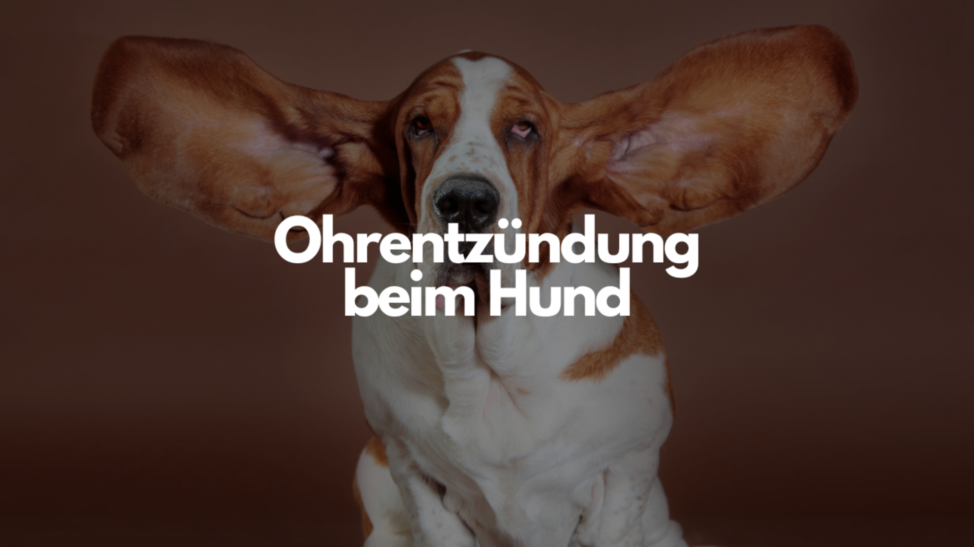 Mein Bild