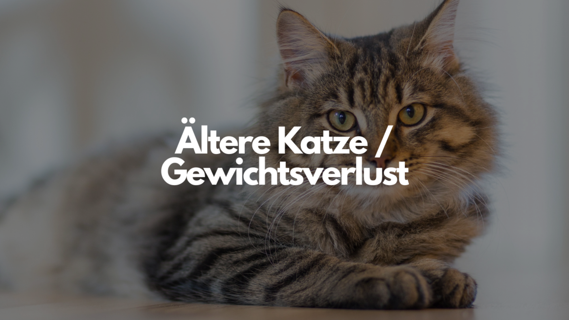 Mein Bild