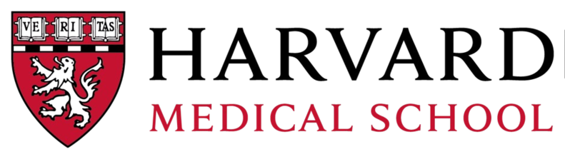 Logo 3