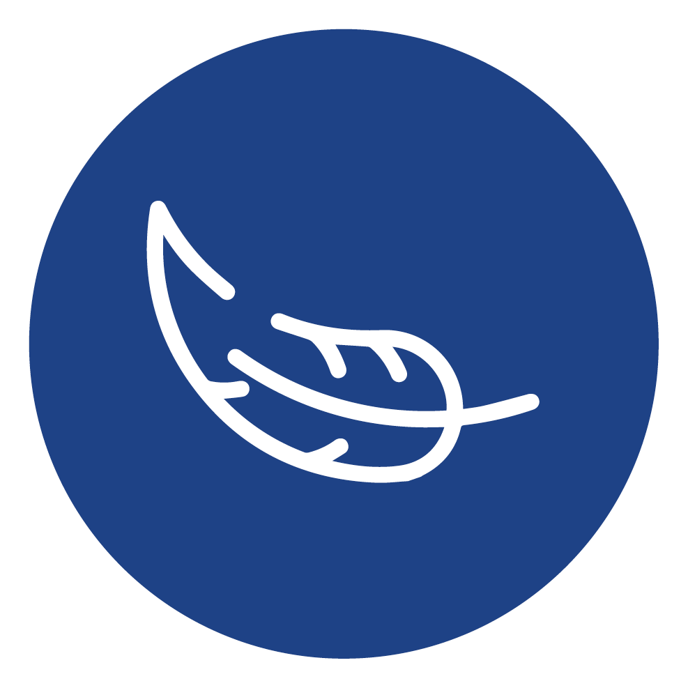 VEER