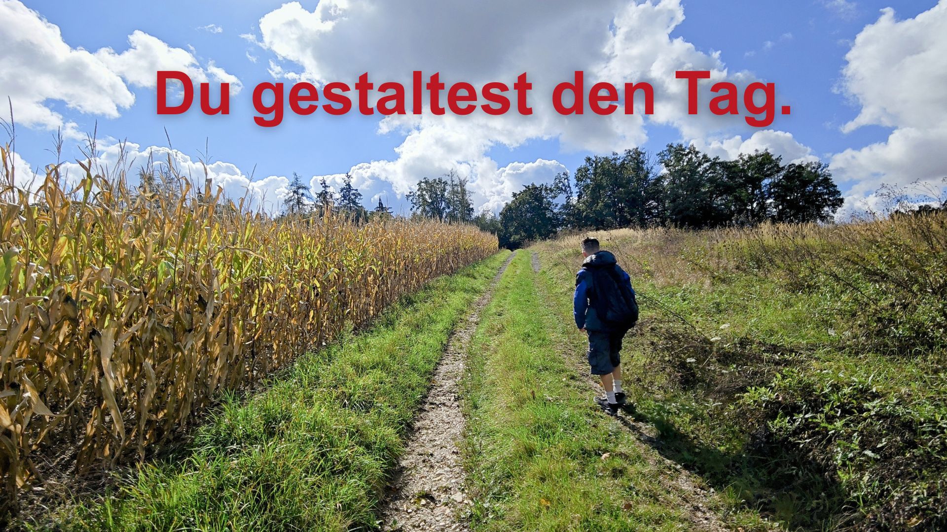 Mein Bild