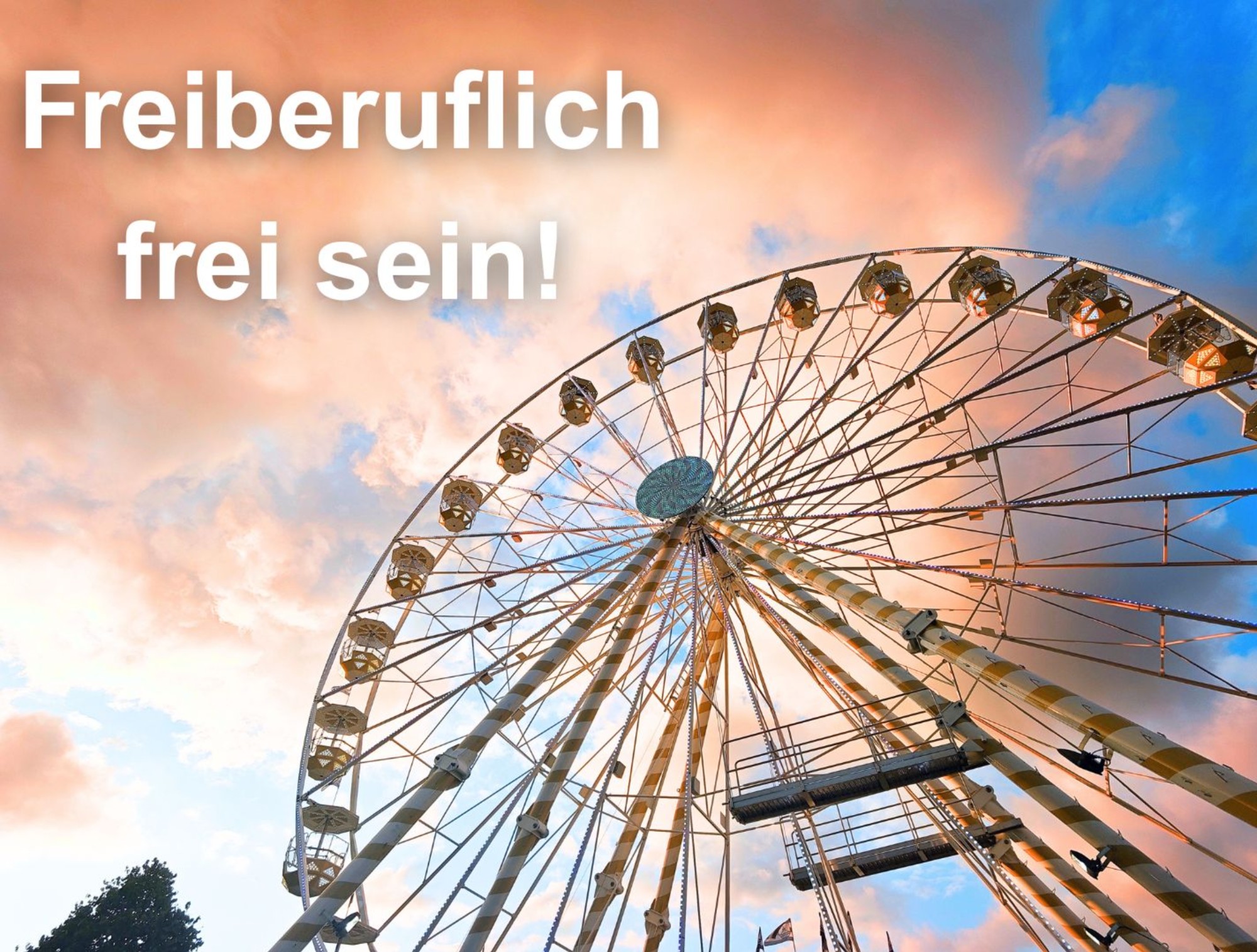 Mein Bild
