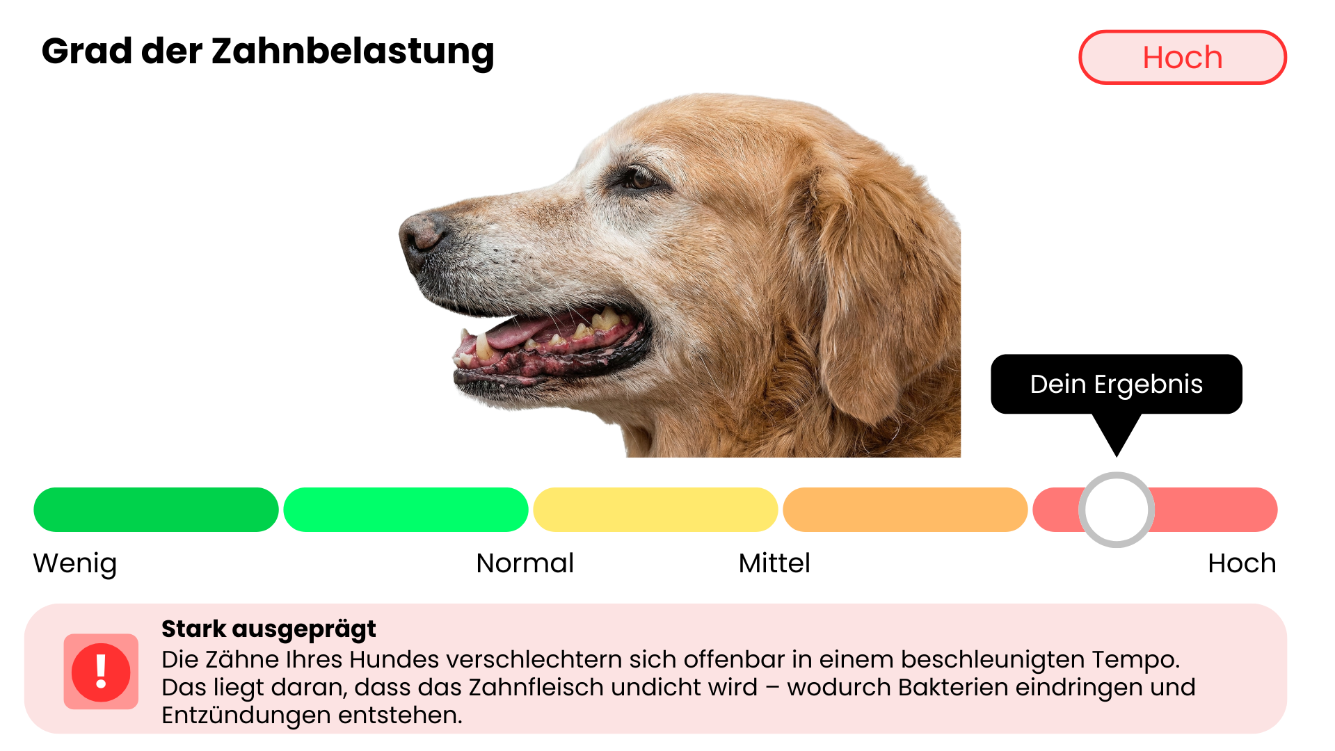 Mein Bild