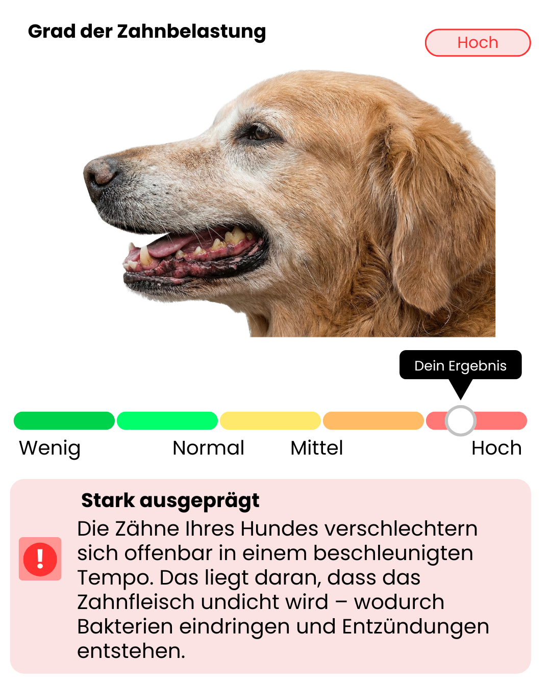 Mein Bild