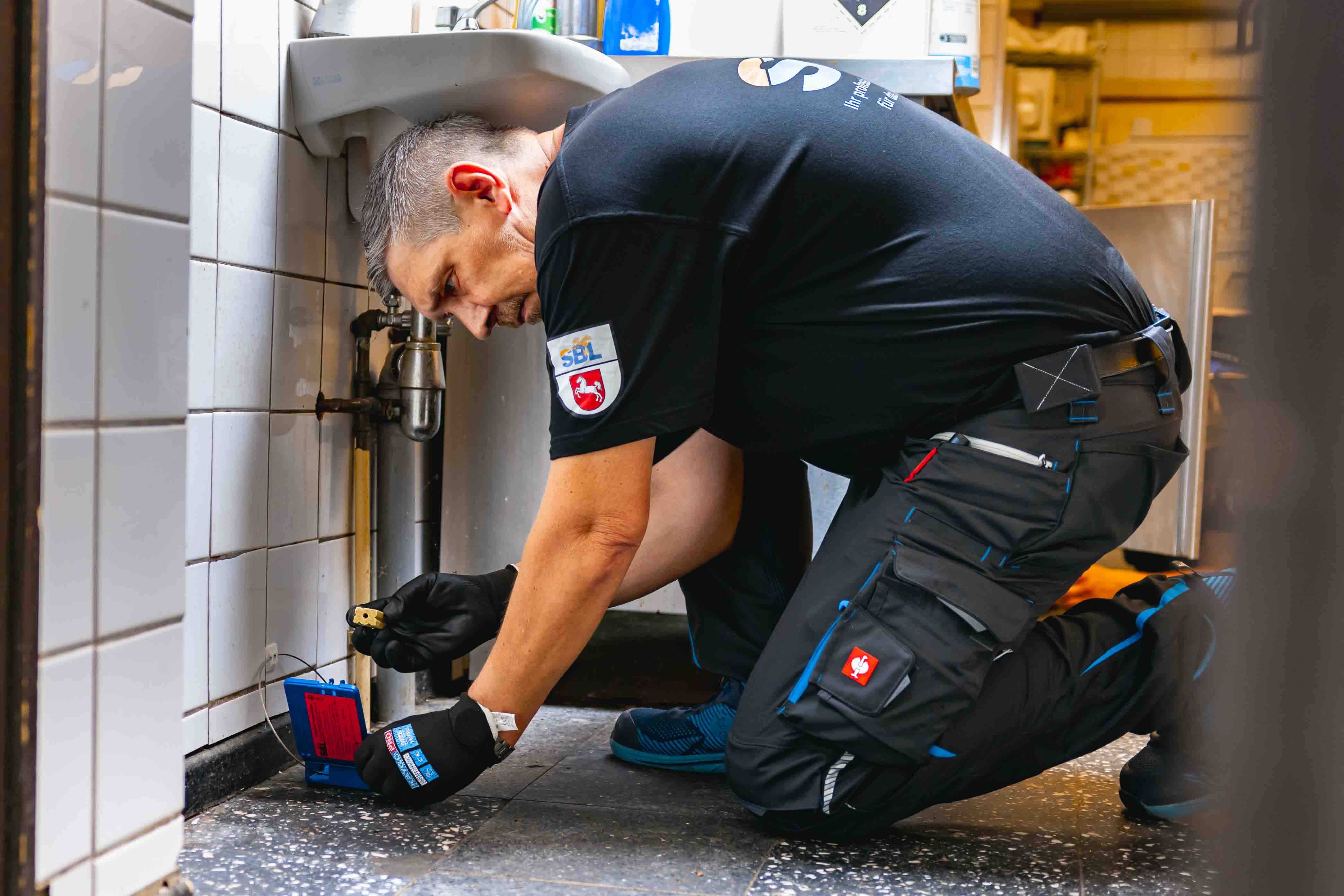 SBL-Schädlingsbekmäpfung-SchadundLästlinge