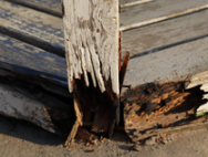 teilweise schon morsch