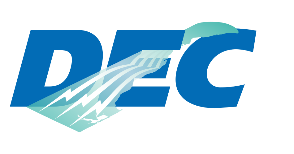 Delaware Electric