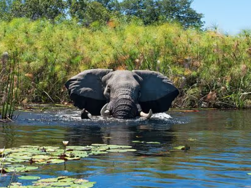 Botswana