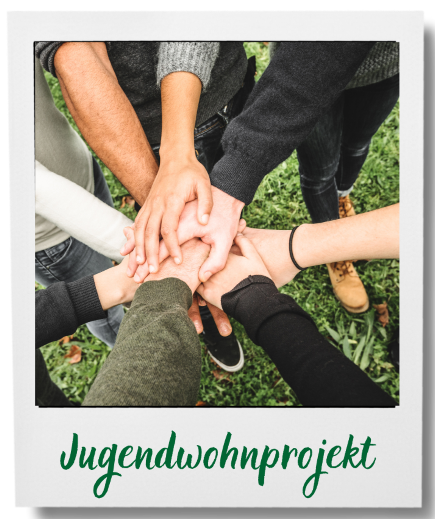 Mein Bild