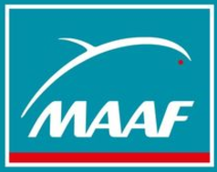 Maaf