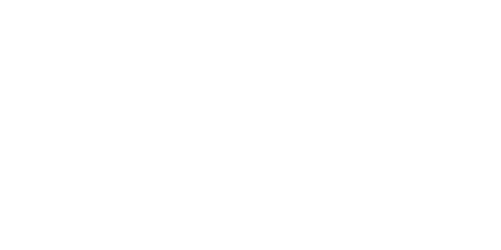 Logo Vibin Footer