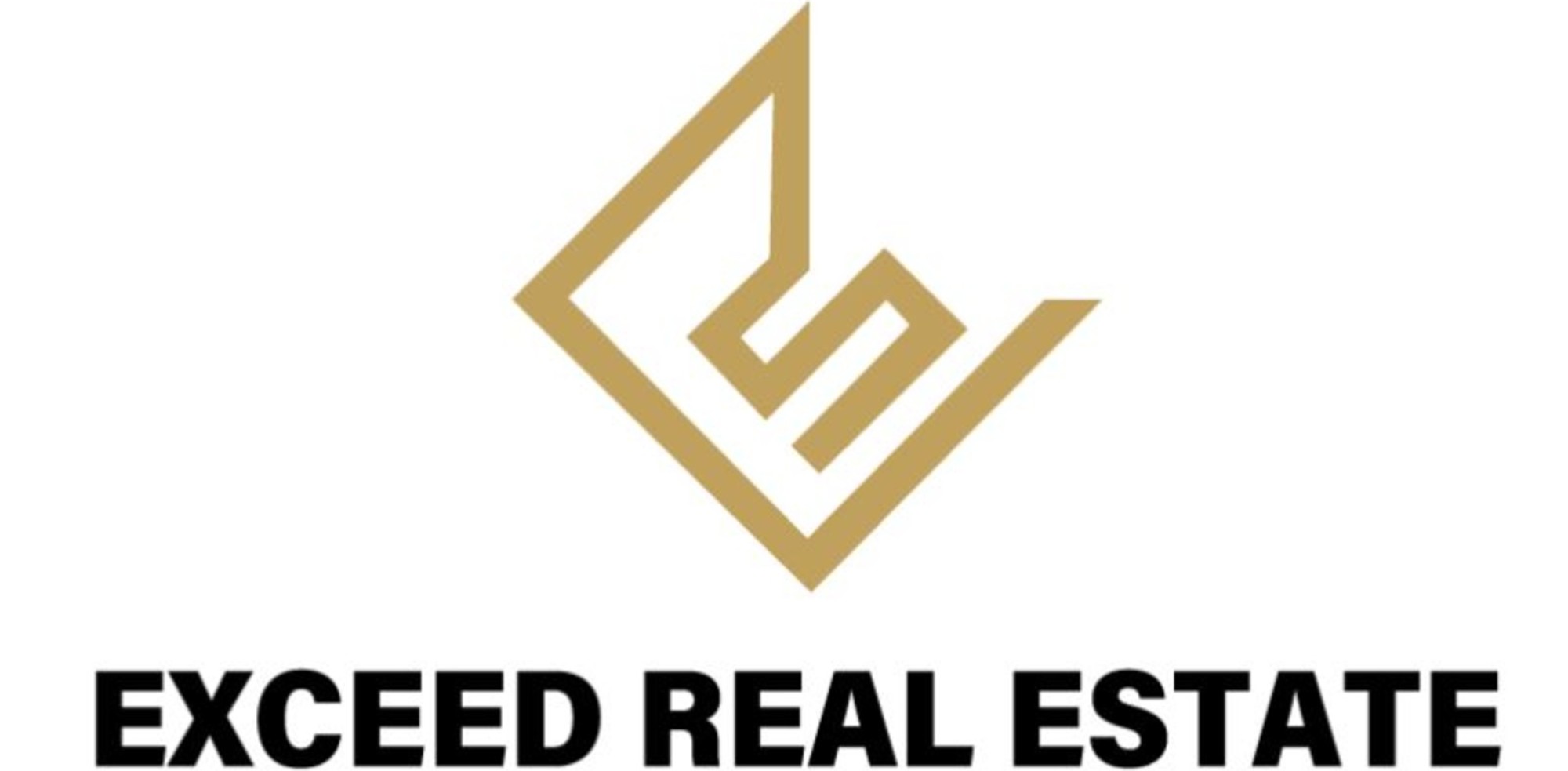 Logo 4