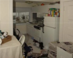 3 - Small piles on floor and surfaces, can still walk freely