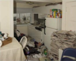 5 - Surfaces and floor are covered, have to walk over items