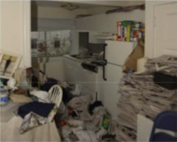4 - Large piles on floor and surfaces, have to walk over items