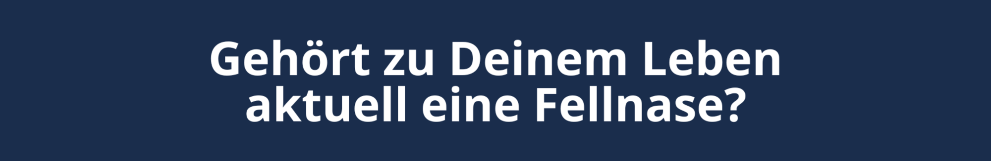 Mein Bild