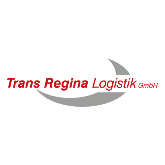 Logo 13