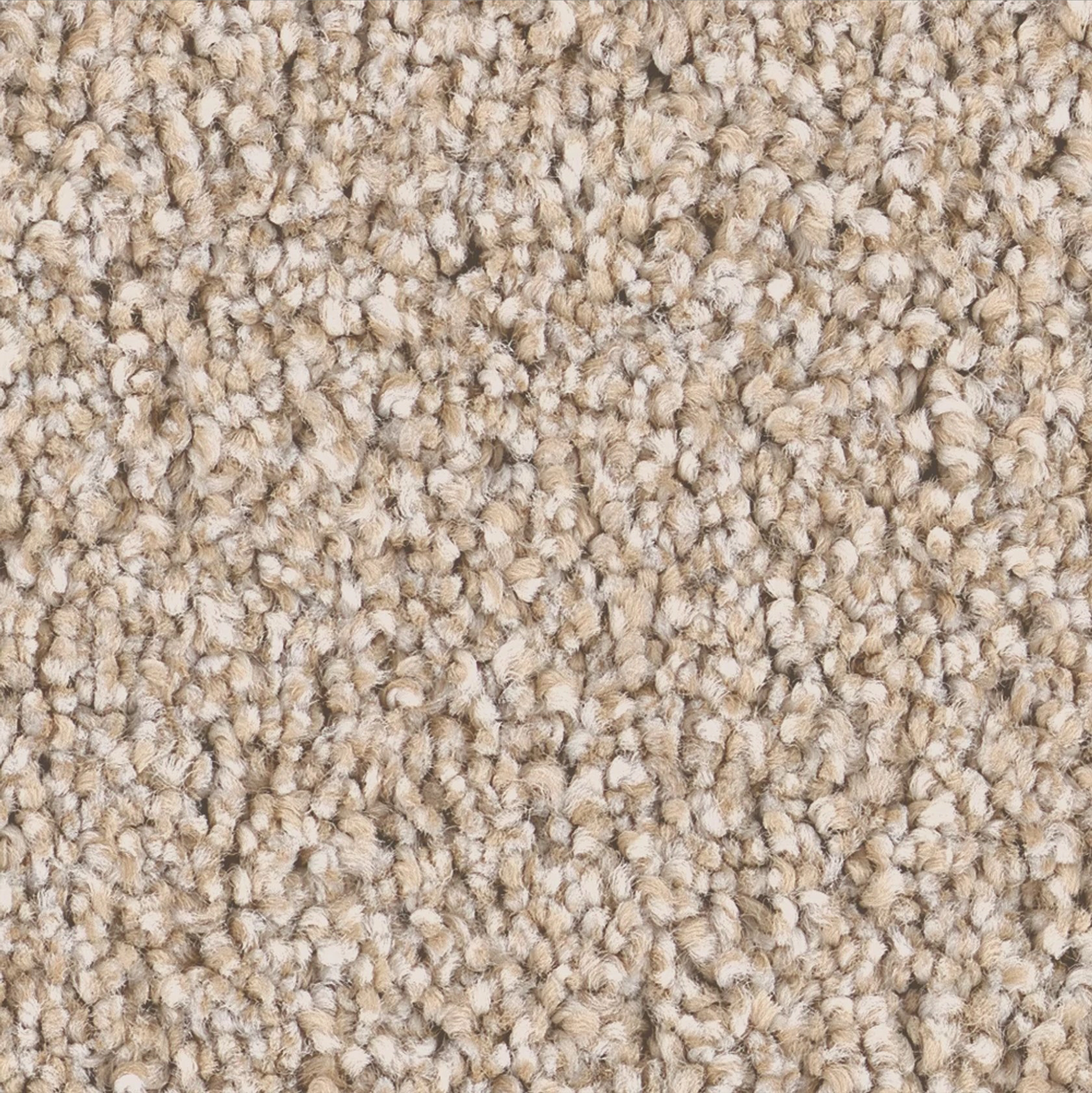 Satin Shimmer carpet flooring swatch