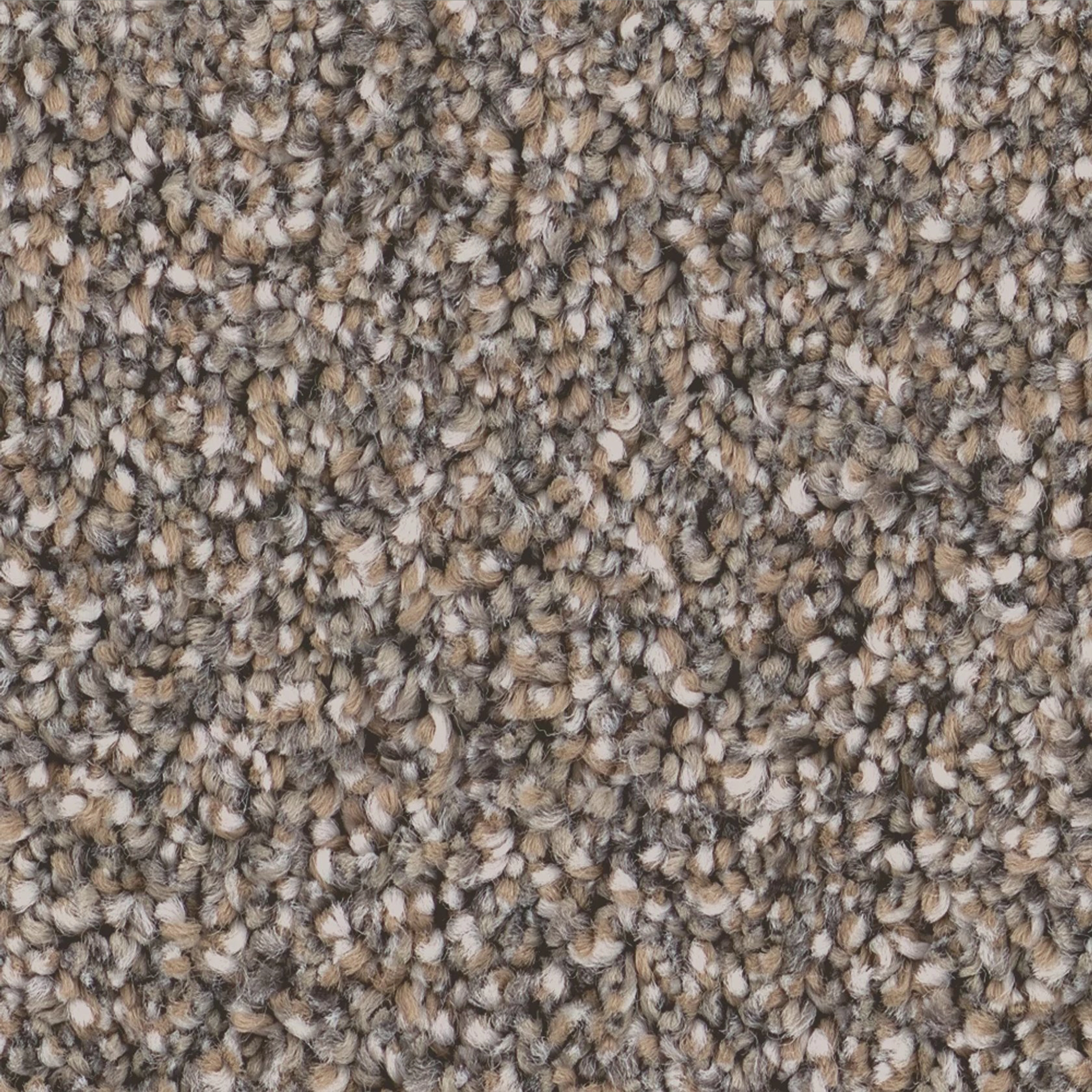 Castle Rock carpet flooring swatch
