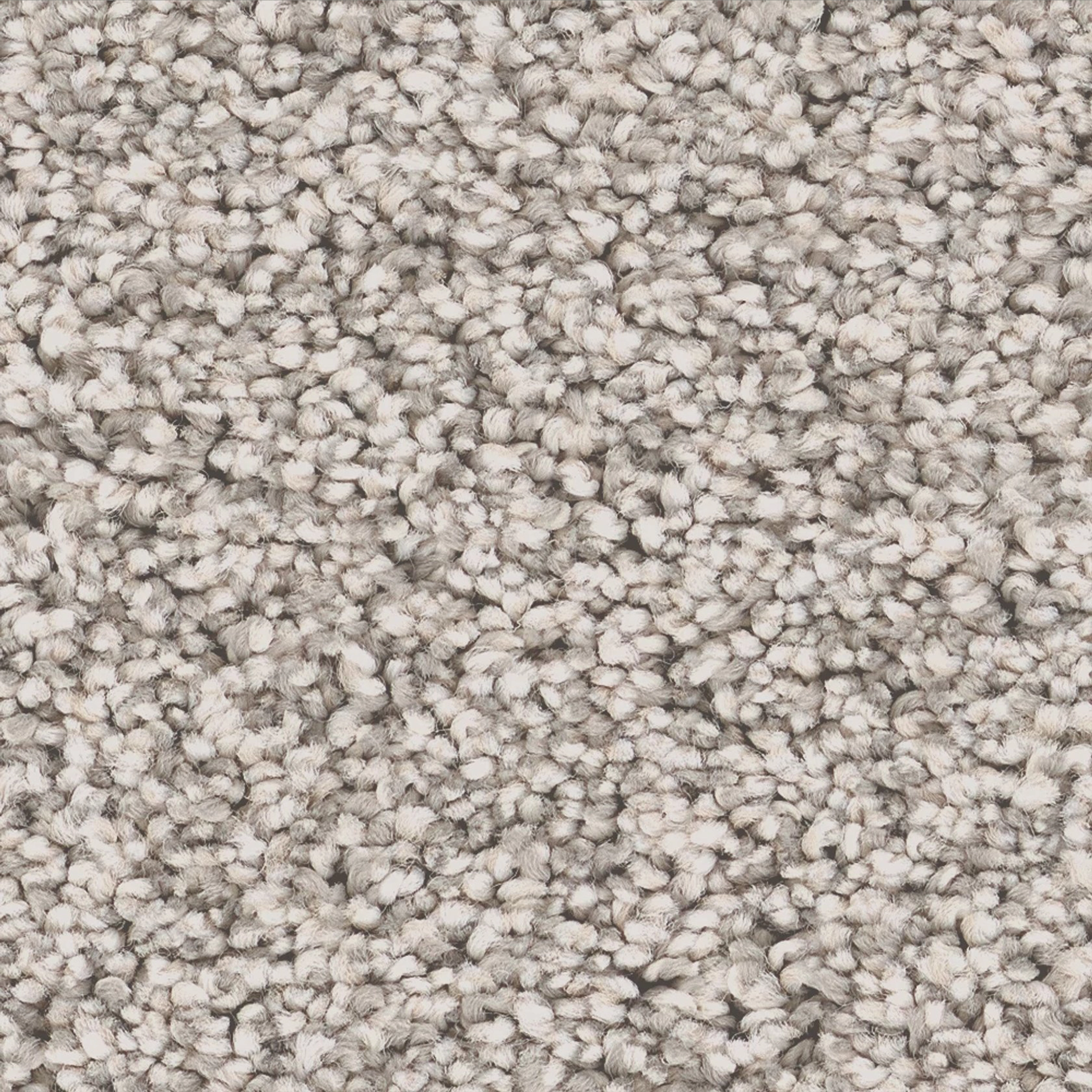 London Fog carpet flooring swatch